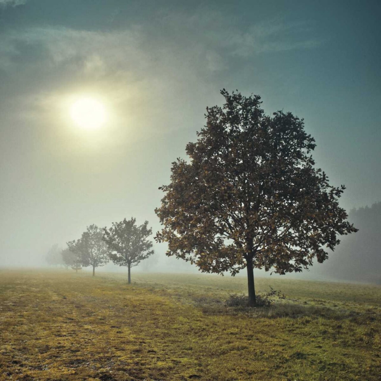 Its a New Day Poster Print by Assaf Frank - Item # VARPDX16339